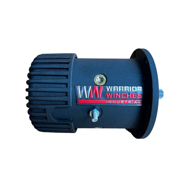 Motor - T1000100-12V
